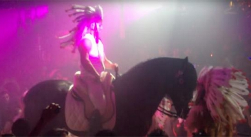 caballos david guetta ibiza