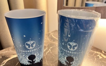 Multa de 2 Millones de Euros Amenaza a Tomorrowland por...