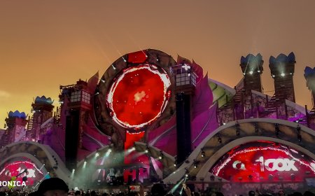 Dreamfields México: Un cierre épico para la celebración...