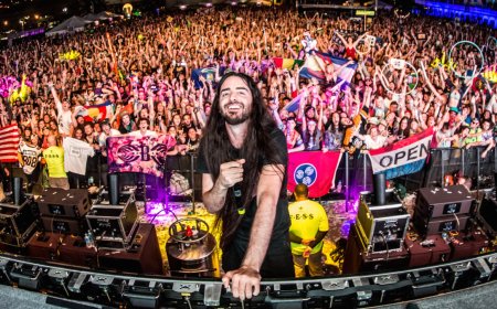 Bassnectar Resuelve Demanda por Abuso Sexual