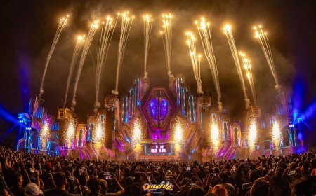 ¿Adiós a la sede actual? El futuro de Dreamfields Méxic...