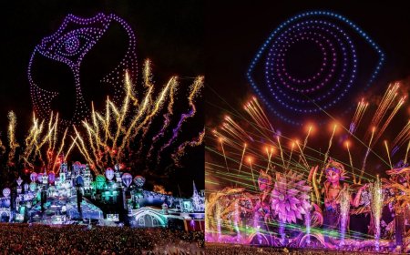 Tomorrowland e Insomniac Conmocionan las Redes Sociales...