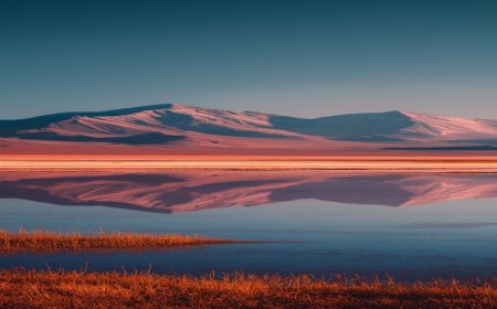 Zamna Festival vuelve a Chile el 22 de noviembre de 2025