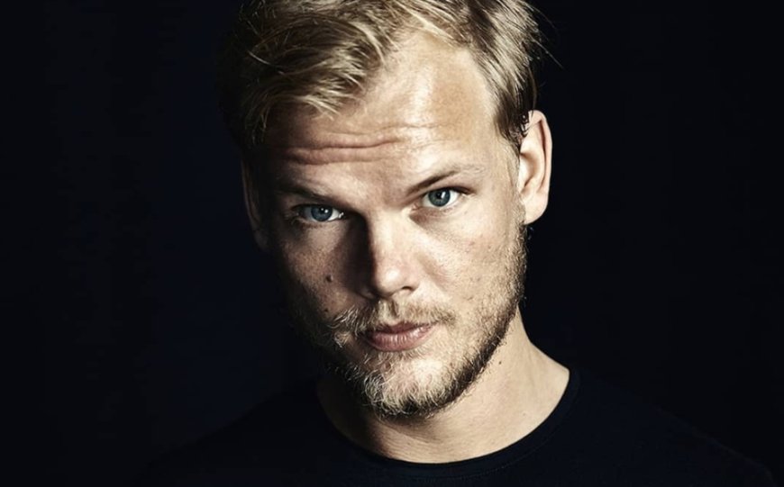 La vida de Avicii se muestra en un nuevo documental