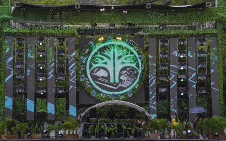 TIERRA GROOVE 2026: Electrónica, agua y amanecer en el corazón de Hidalgo