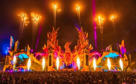 Dreamfields México entra en pausa: festival no se reali...